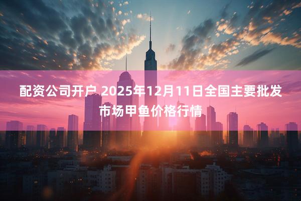 配资公司开户 2025年12月11日全国主要批发市场甲鱼价格行情