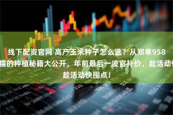 线下配资官网 高产玉米种子怎么选？从郑单958到黑甜糯的种植秘籍大公开，年前最后一波官补价，趁活动快囤点！