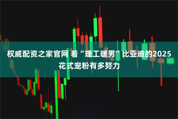 权威配资之家官网 看“理工暖男”比亚迪的2025花式宠粉有多努力