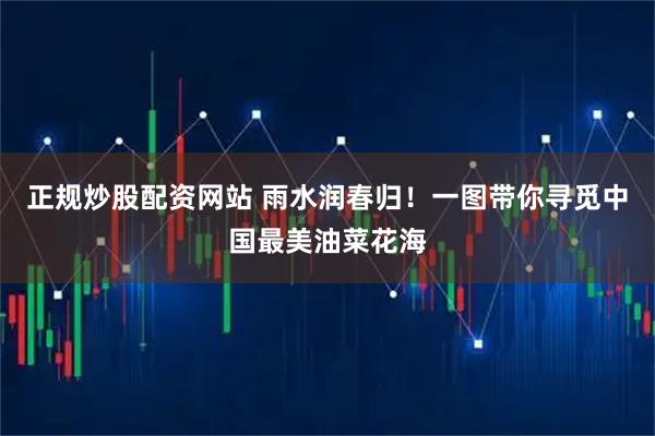 正规炒股配资网站 雨水润春归！一图带你寻觅中国最美油菜花海